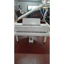 PIANOFORTE 17$ CODA(CODINO)-SCHULZE POLLMANN- MADE IN ITALY- PIANOFORTI A CODA USATI IN VENETO- PIANOFORTI A CODA USATI PADOVA- PIANOFORTI A CODA USATI VERONA- PIANOFORTI A CODA USATI NICENZA- PIANOFORTI A CODA USATI TREVISO- PIANOFORTI A CODA USATI MILANO -PIANOFORTI A CODA USATI A ROMA- PIANOFORTI A CODA USATI A FIRENZE- PIANOFORTI A CODA USATI A BARI- PIANOFORTI A CODA USATI IN SICILIA-