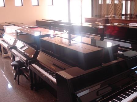 NOLEGGIO PIANOFORTI A VENEZIA”LONGATO PIANOFORTI”- NOLEGGIO PIANOFORTI A TREVISO”LONGATO PIANOFORTI”- NOLEGGIO PIANOFORTI A PORDENONE”LONGATO PIANOFORTI”- NOLEGGIO PIANOFORTI A PADOVA”LONGATO PIANOFORTI”- NOLEGGIO PIANOFORTI AD UDINE”LONGATO PIANOFORTI”- NOLEGGIO PIANOFORTI A PORDENONE”LONGATO PIANOFORTI”-OUTLET NOVENTA DI PIAVE- PIANOFORTI LONGATO- VICINO ALL’OUTLET DI NOVENTA DI PIAVE(VE).