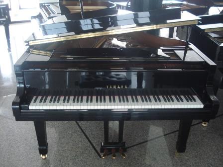 PIANOFORTI A VENEZIA-UDINE-PORDENONE