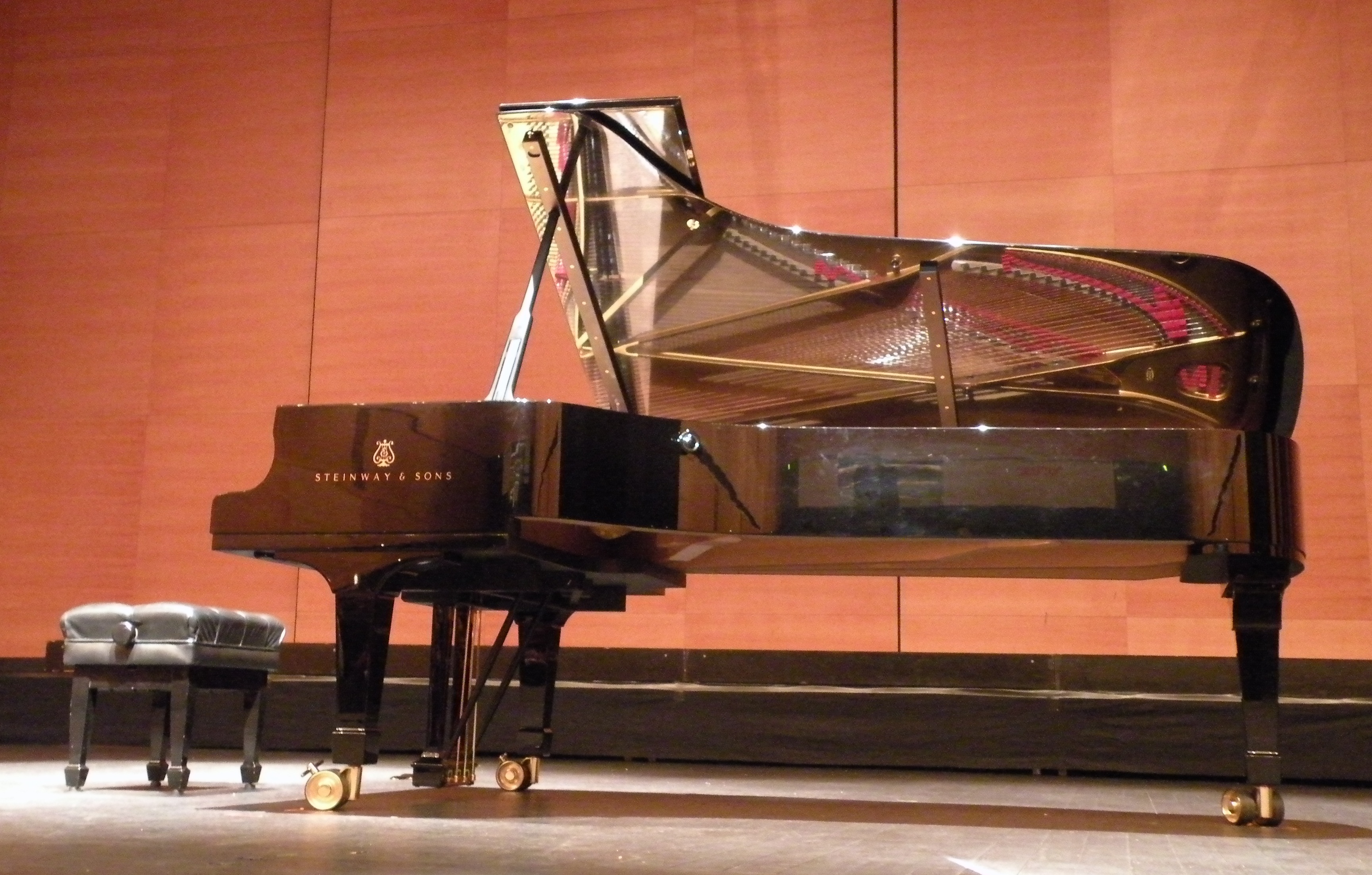 PIANOFORTI IN SVIZZERA- VENDITA PIANOFORTI SVIZZERA- CONSEGNA PIANOFORTI IN SVIZZERA- OCCASIONE PIANOFORTI SVIZZERA- PIANOFORTI USATI YAMAHA IN SVIZZERA- PIANOFORTI USATI KAWAI IN SVIZZERA..